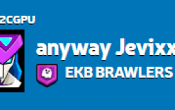 Средства индивидуальной  и коллективной защиты. Порядок их использования. Основы   организации   аварийно-спасательных   и   других   неот¬ложных работ при чрезвычайных ситуациях.