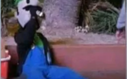 Brawl Stars Brawler Strength IMO