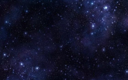 The Top P-Star