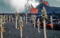 HOTTEST STAR WARS BABES