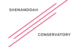 SU TDP CLASSES YEAR 1-2