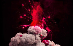 Best Girl competition 2