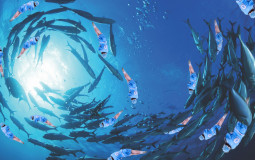 yorktown jv lacrosse players