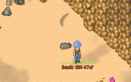TMW2 Weapon size