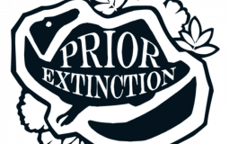 Prior Extinction tiers