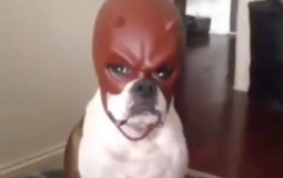 Group by Personality