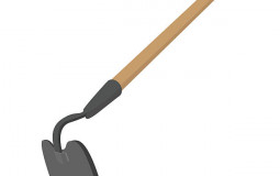 Downlands Girls (Looks)