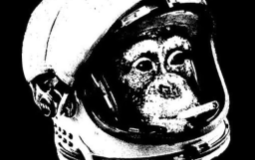 Album Cast Assessment