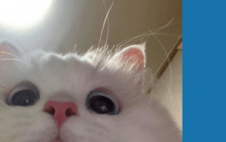 Any Types of games/ ANY kind of games,COMPUTER MOBILE CONSOLE UH