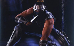 Ryu Hayabusa