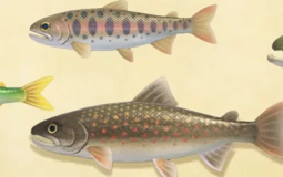 Animal Crossing: New Horizons - Fish