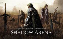 Shadow Arena Solo Tier List