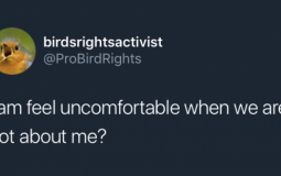 rank my characters 🍒