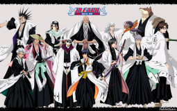 Os treze capitães de Bleach