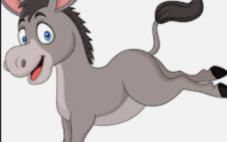 protein treats tier list