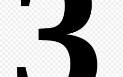 BB25: 3rd Place Edition