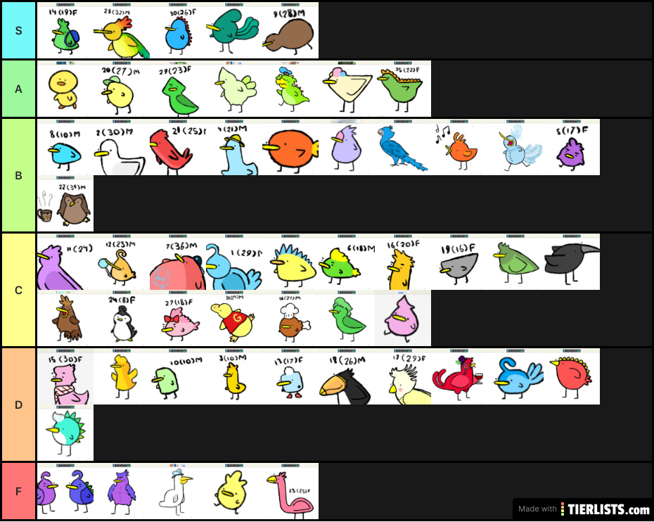Evan’s Bird Tier List