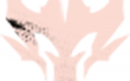 IMR E0 DT