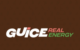 Guice