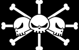 Straw Hat Pirates vs Blackbeard Pirates