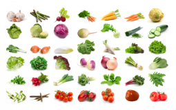 POTAGER
