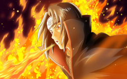 one piece characters