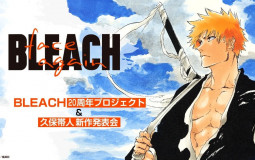 Bleach Power Levels