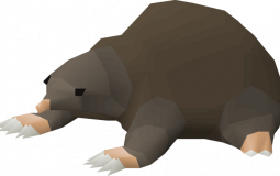 Osrs pets