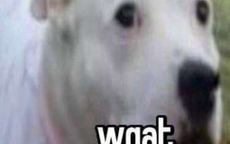 Social exhibit biggest douchebags