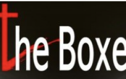 Boxer Character Tier List