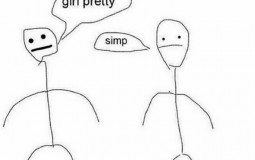 Simping throughout the years