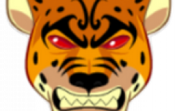 PVE bf