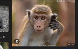 My Favorite Character