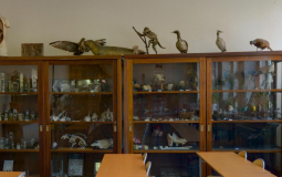 Tier lista Nauczycieli Słowak