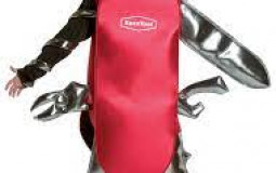 Best Dtech Free Lunch Food. (Newsom Protocol)