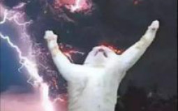 Cadena alimenticia de internet.