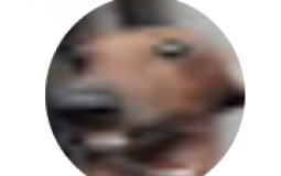 rating the people i follow