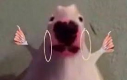 Ur Mum's Top 10 Valorant Players