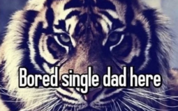 Piggy Solo World Records