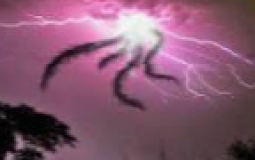 - =  J  U  D  G  E  M  E  N  T  = -