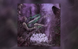 Metal Genres/Subgenres