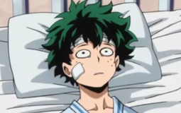 BNHA Costumes