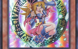 Waifu ranks