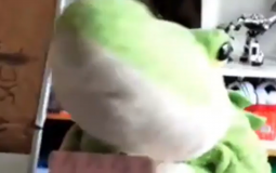 Plushie School Characters