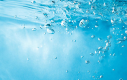 ag!WIlbur's Tier List of Wet Words