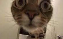 3D Ball Soccer Animations