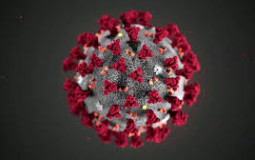Rank Viruses