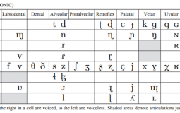 IPA Consonants Tier List