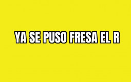 Frases profe