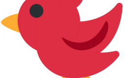 Bird Tier List